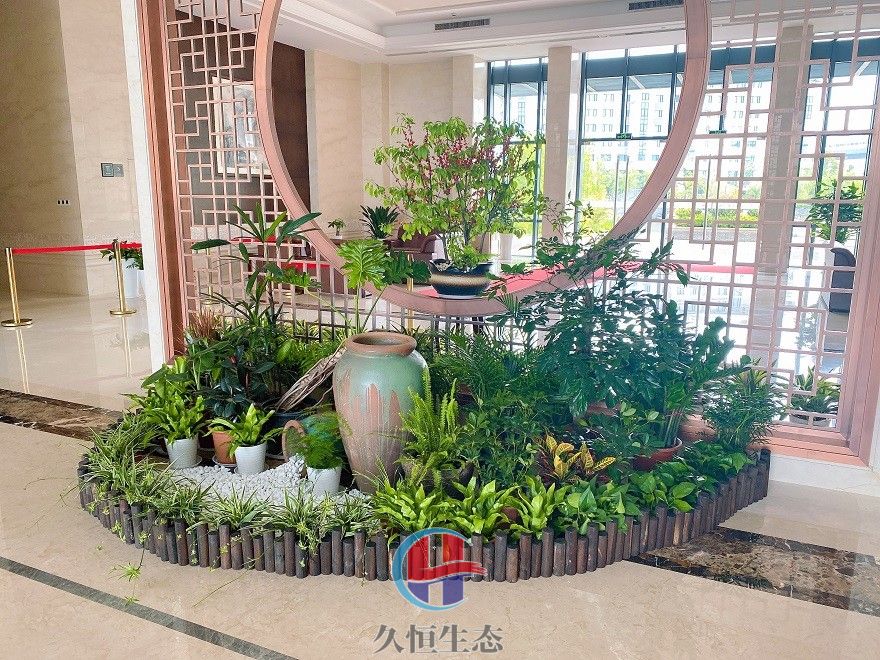 宁波海曙企业大厅组合花卉绿植摆放