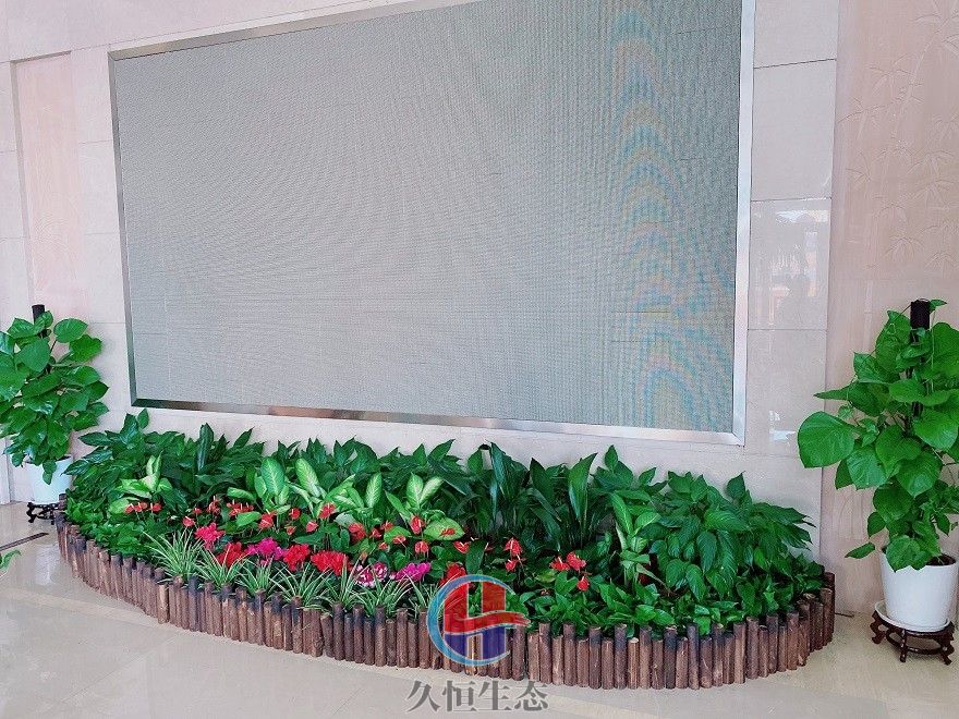 宁波海曙企业大厅显示屏组合花卉绿植摆放