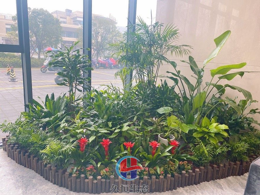 宁波海曙大厅多个花卉品种造景2
