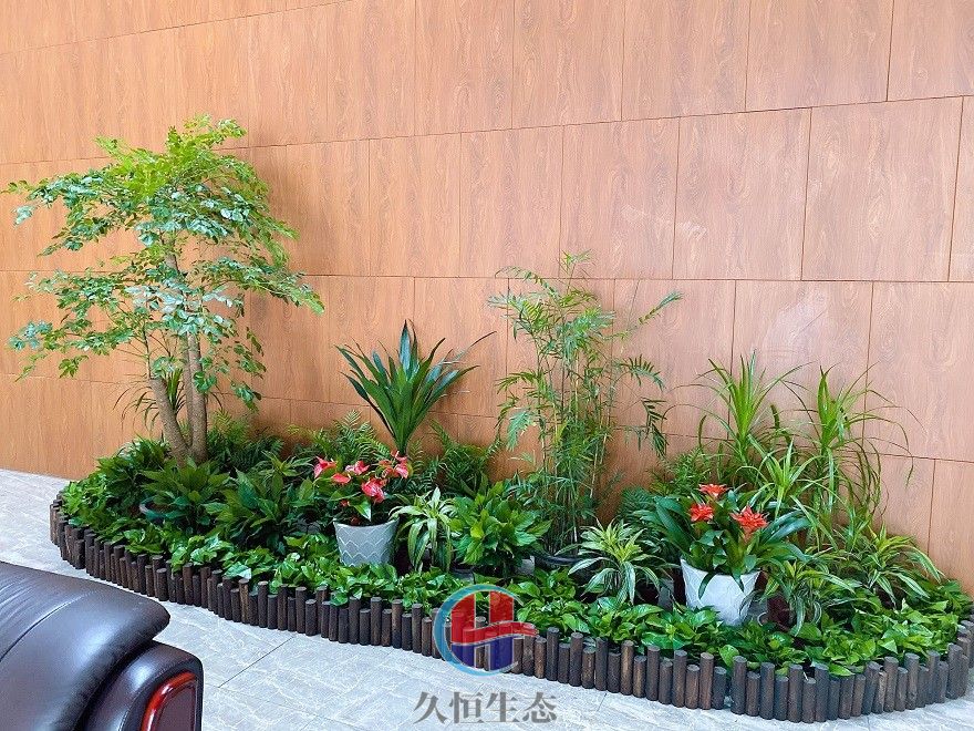 宁波海曙大厅多个花卉品种造景3